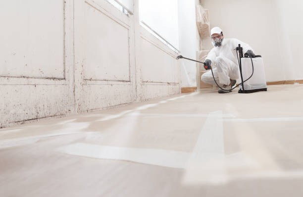 24/7 Emergency Attic Mold Remediation experts in Essex, IL